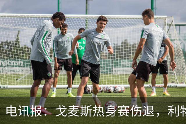 电讯报：戈麦斯热身赛伤退，利物浦眼前的最优解就是签斯通斯